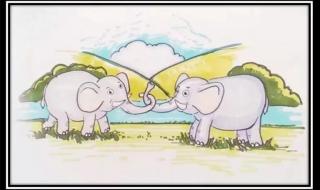 淄博市实验 淄博市实验