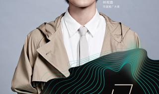 17届金曲奖 17届金曲奖